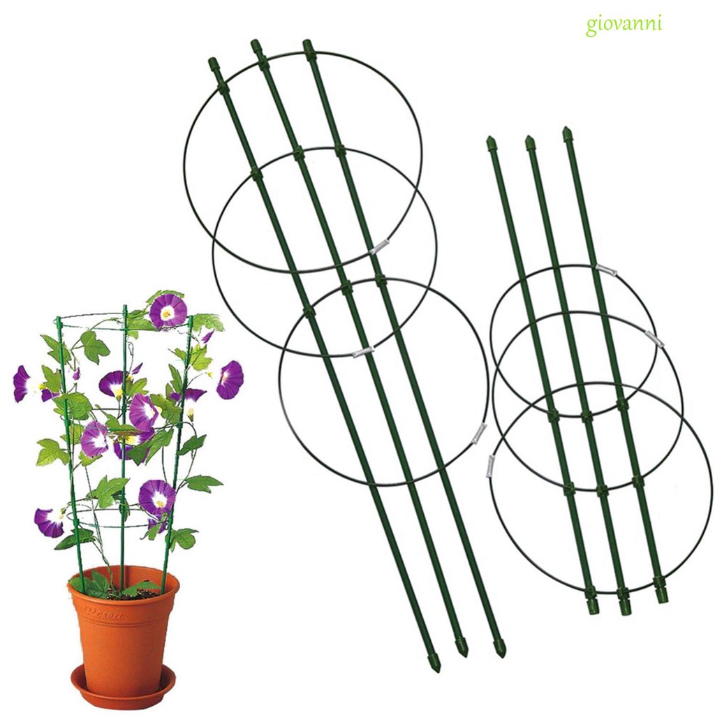 Bộ giá đỡ trồng cây cà chua leo hoa trang trí sáng tạo với 3 thanh giữ và 3 vòng gắn hỗ trợ bằng nhựa màu xanh lá bền
