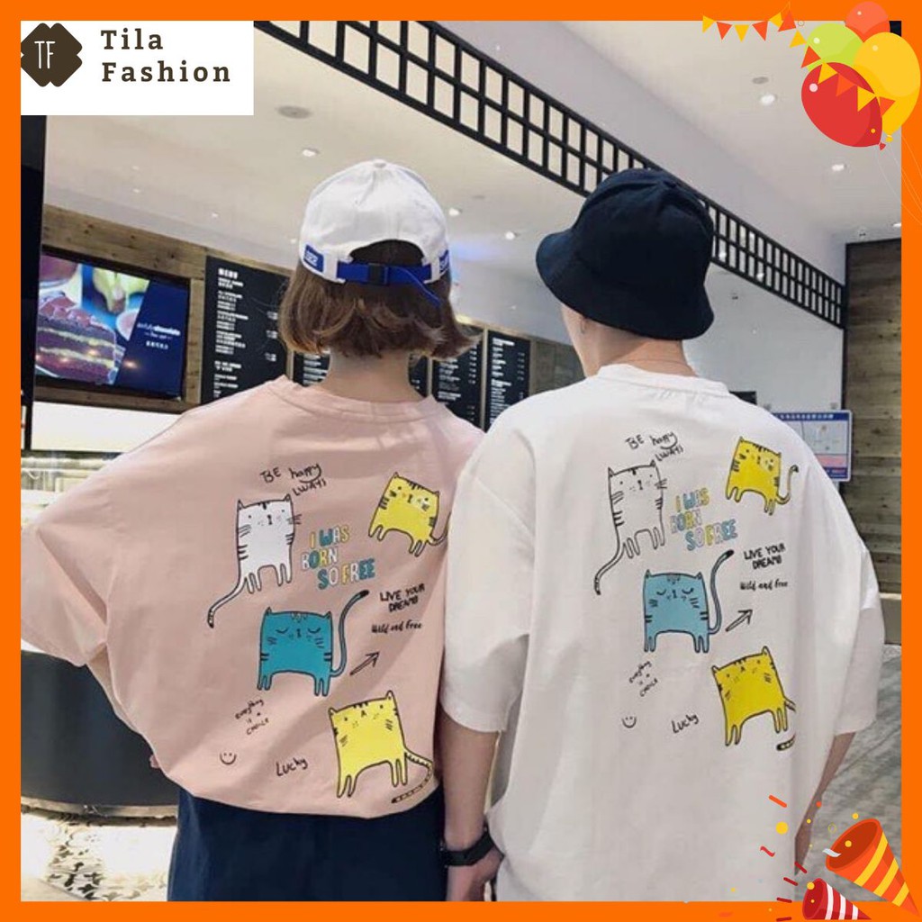 Áo thun unisex hình những chú mèo nghộ nghĩnh | BigBuy360 - bigbuy360.vn