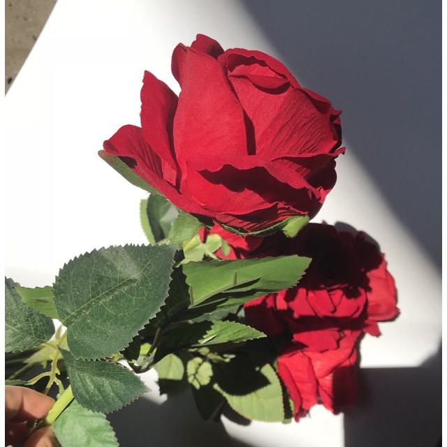 {HÀNG CÓ SẴN} Hoa hồng đỏ, hồng nhạt trang trí cực đẹp