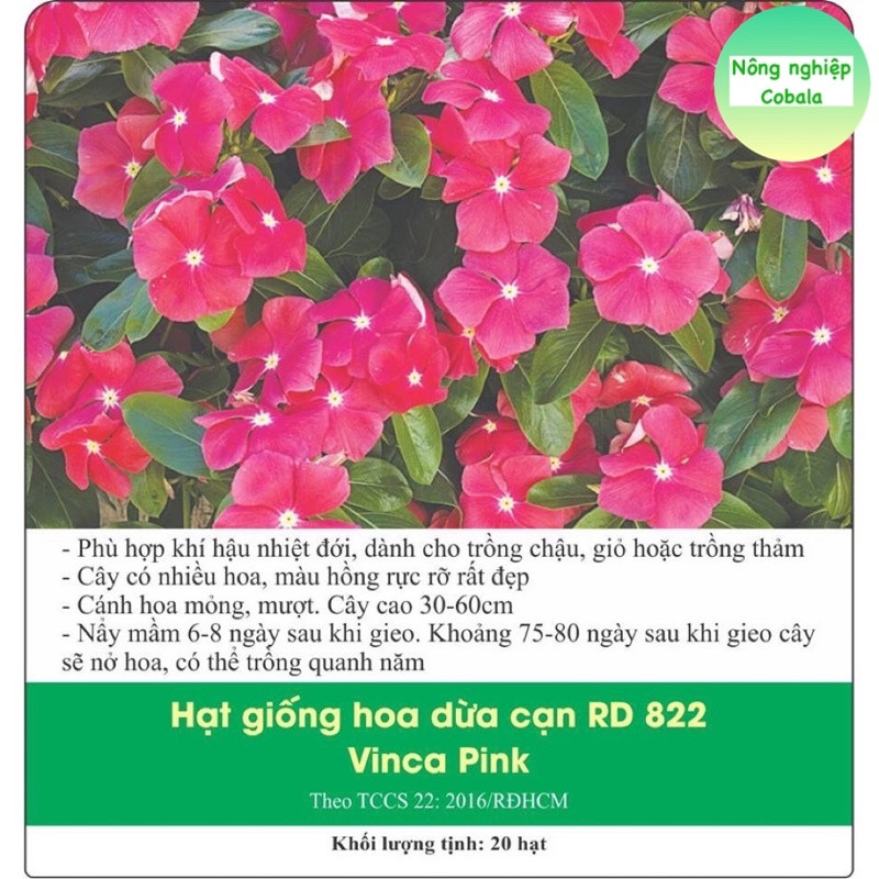 Hạt Giống Hoa Dừa Cạn Gói 0.1gr