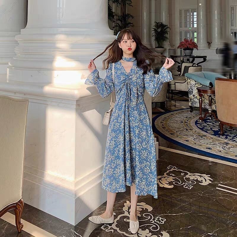 Đầm Chiffon Tay Dài Cổ Chữ V In Hoa Plus Size Phong Cách Hàn Quốc Thanh Lịch Dành Cho Nữ