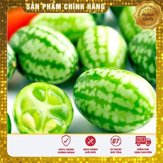 Hạt giống Dưa Hấu Mini 10 Hạt