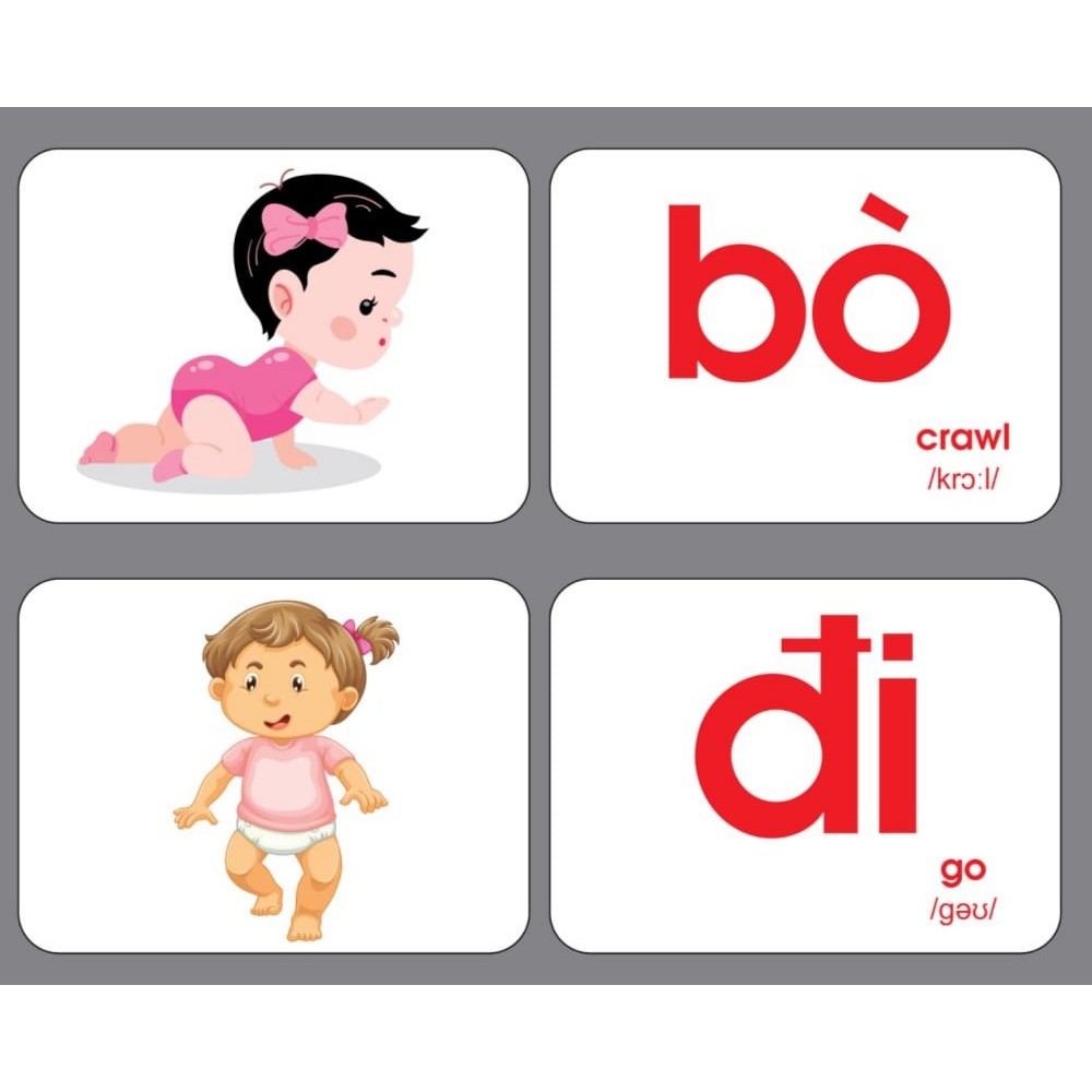 Thẻ Học Thông Minh Loại To A5 Flashcard Cho Bé Thẻ Học Glenn Doman  Không Thấm Nước Giúp Con Phát Triển Ngôn Ngữ