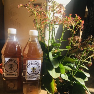 Mật ong hoa cà phê 1000ml