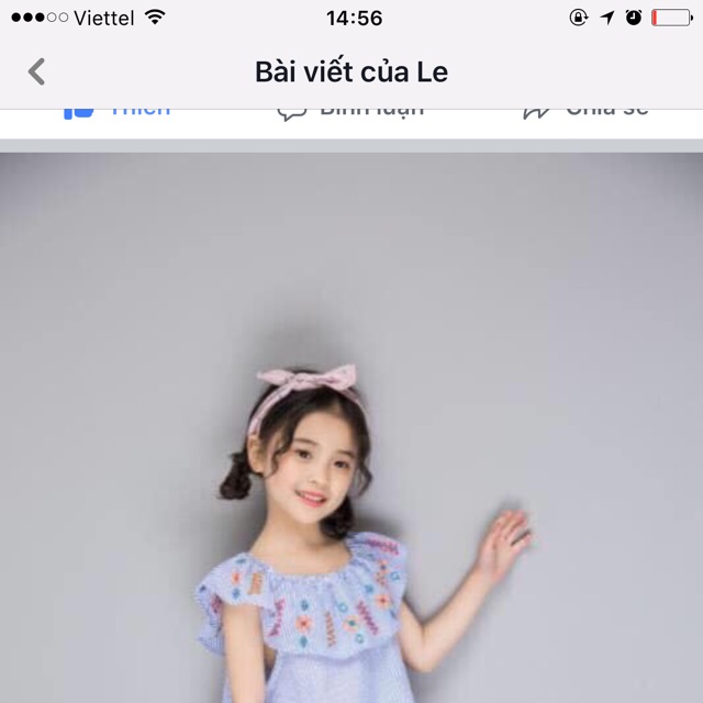 Váy thêu hoa ở ngực