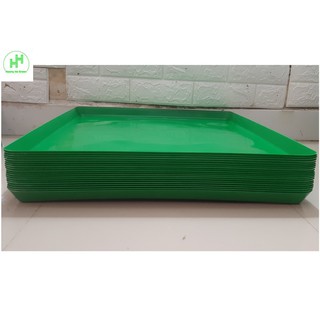 20 Khay/Máng Hứng Phân Chim, Khay Đựng Phân Gà, Khay Hứng Phân Chim Bồ Câu, Kích Thước 49x49Cm