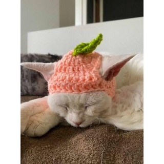 Mũ len cho mèo handmade
