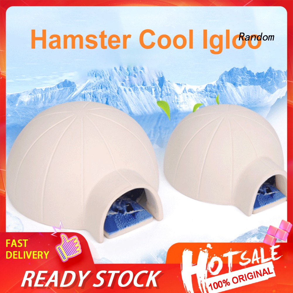 Nhà gốm có đệm làm lạnh cho thú cưng hamster