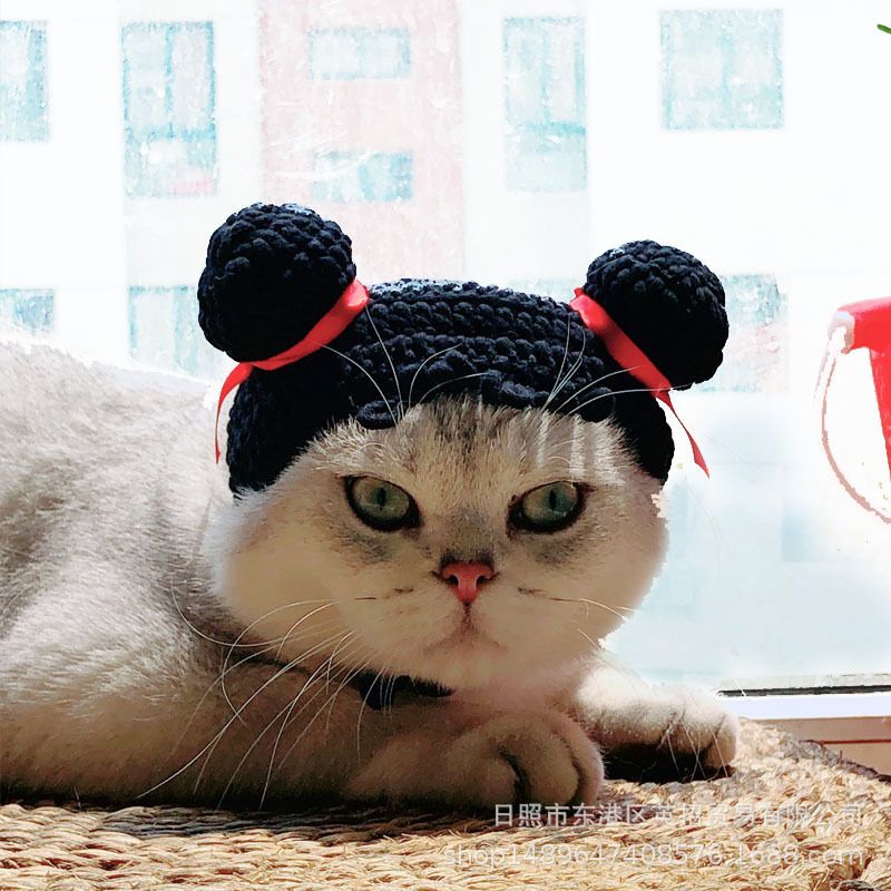 Nón Pucca cho chó mèo