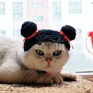 Nón Pucca cho chó mèo