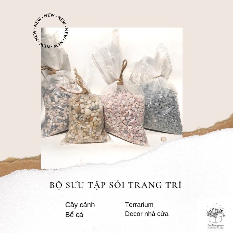 Sỏi, sỏi biển, sỏi nhỏ - 5kg - Trang trí chậu, cây, vườn sen đá, hồ cá, bể cá mini, trang trí phòng ngủ, phòng khách