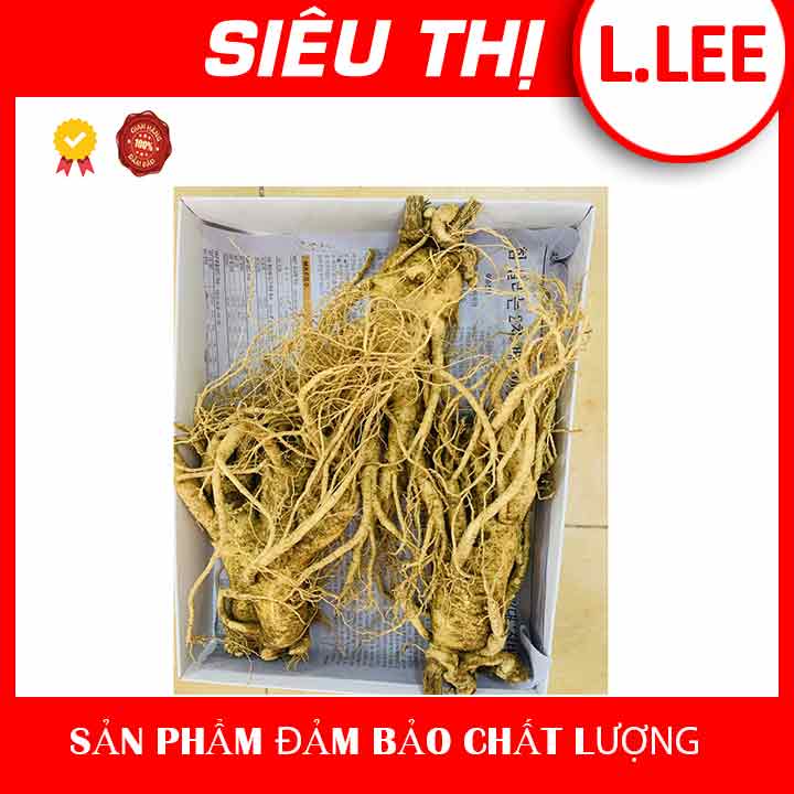 Sâm tươi Hàn Quốc 6 năm tuổi loại 2 củ/kg (loại 1)