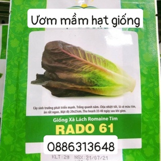 Xà lách Romaine tím (2g)