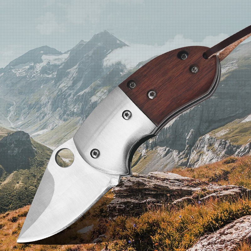 [ Dao phượt ] - Dao gấp bỏ túi, di động ,cấm trại, gọt trái cây đa năng.