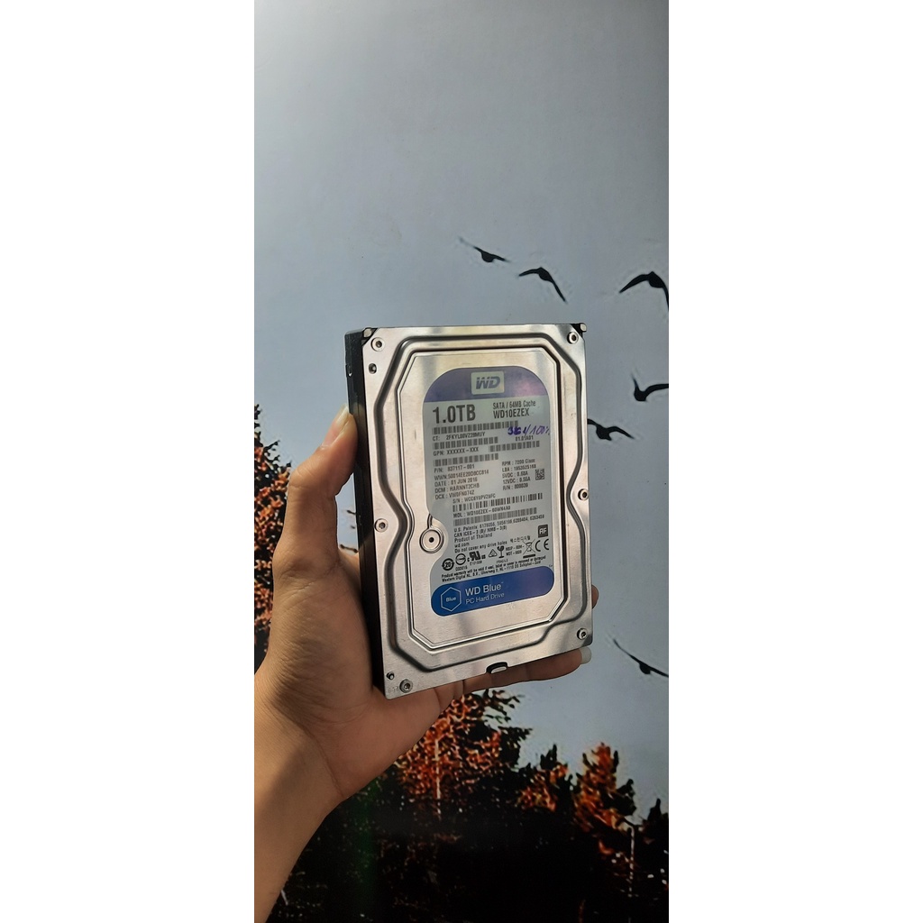 [HOT] Ổ cứng PC HDD 1TB SỨC KHỎE 100% [CÒN HÀNG] | BigBuy360 - bigbuy360.vn