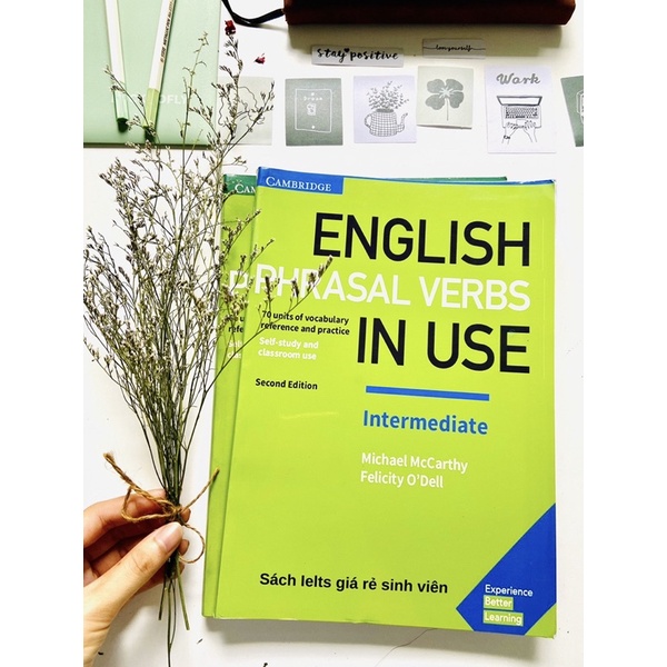English Phrasal Verbs in use