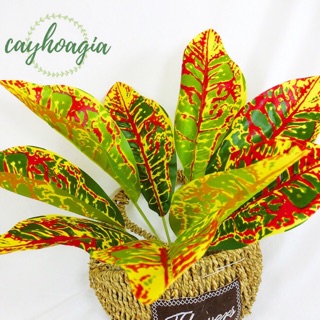 Cây Giả - Cây Lá Mít trang trí