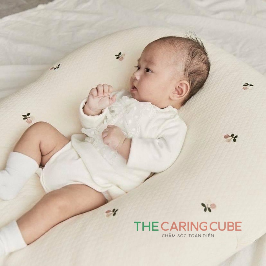 Gối chống trào ngược RototoBebe Hàn Quốc