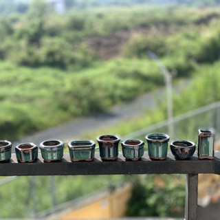 Chậu mini trồng sen đá, bonsai