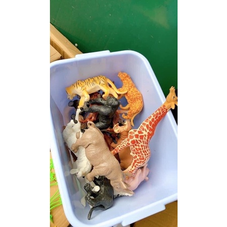 Bộ mô hình động vật