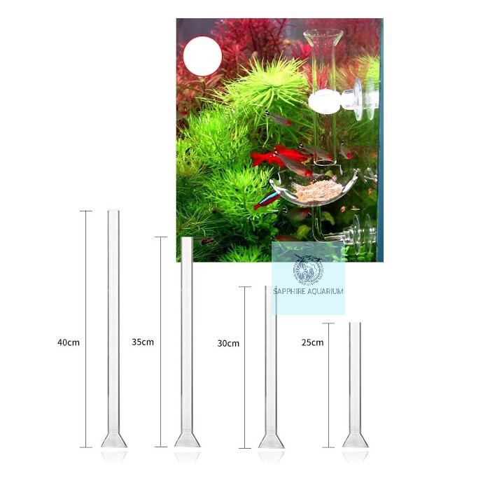 Ống Thủy Tinh Cho Cá Tép Ăn