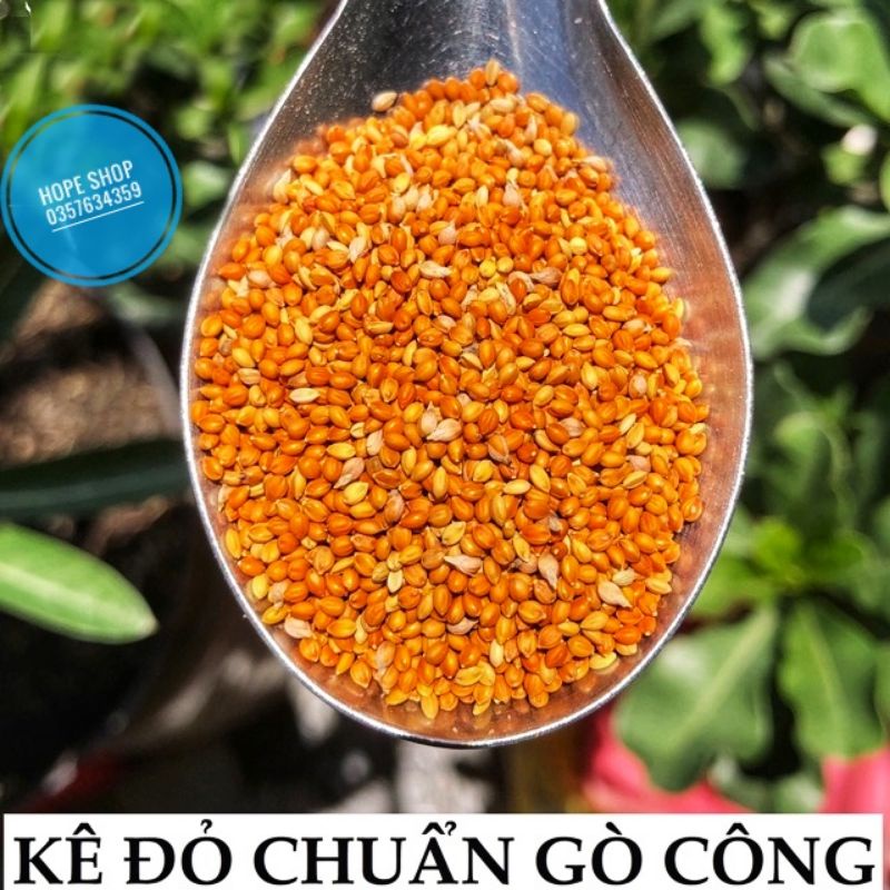 1kg Kê đỏ Gò Công ( Kê đỏ hạt nhỏ )