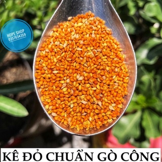 1kg Kê đỏ Gò Công ( Kê đỏ hạt nhỏ )