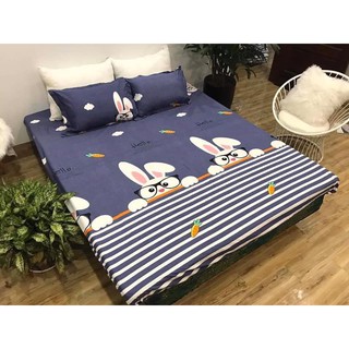 BỘ GA GỐI POLY COTTON 3 MÓN