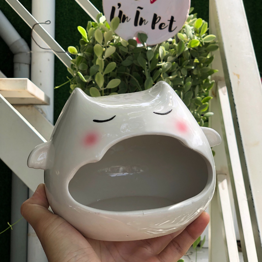 Nhà ngủ sứ hamster, THIÊN THẦN TRẮNG, dơi trắng siêu mát, dễ thương