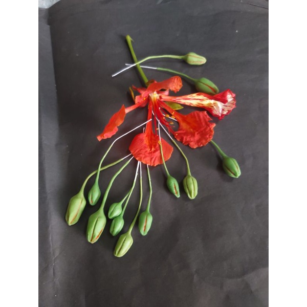 20 Nụ hoa phượng làm hoa handmade