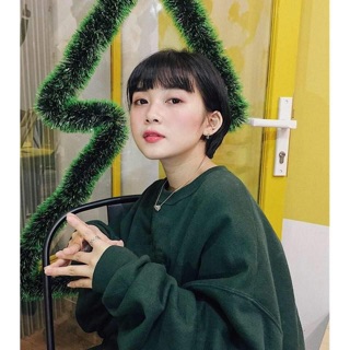 Áo nỉ trơn fom thụng trùm mông dvg688