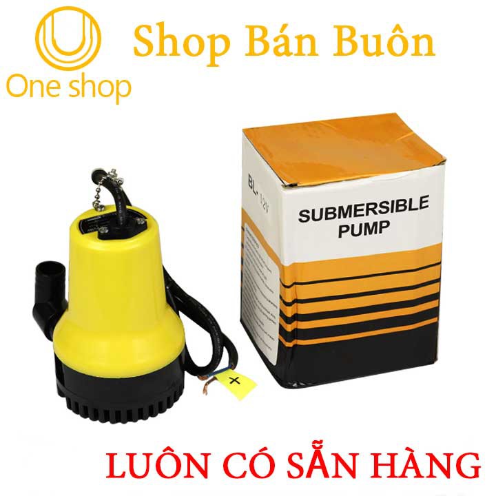 Bơm Chìm Hộ Gia Đình BL-2512 12VDC 65W 3T/H