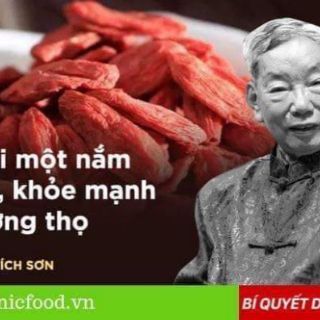 Cẩu Kỷ Tử _ Ninh Hạ