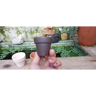 Chậu đất nung - chậu ly gờ miệng 5, cao 5