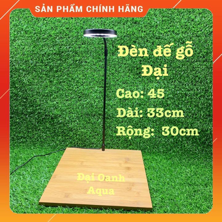 Đèn Led Kèm Đế Gỗ Cho Bể Bán Cạn, Thủy Sinh, Tiểu Cảnh Mini Đế Gỗ