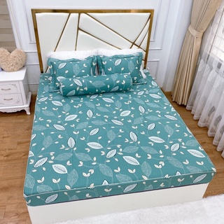 Bộ ga gối chun chần cotton hàn quốc