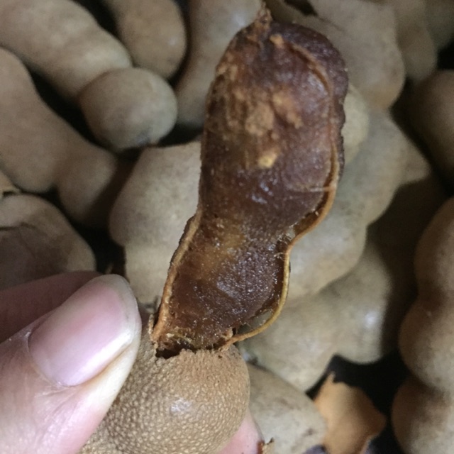 Combo si Me thái sấy khô 150k