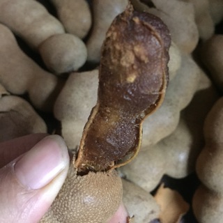 Combo si Me thái sấy khô 150k