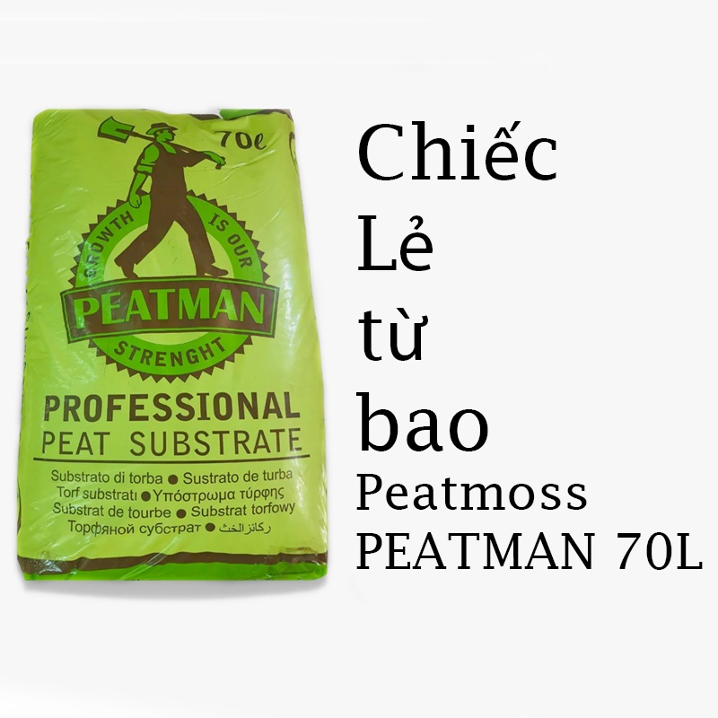 Peat moss -Rêu Than Bùn - Peatman