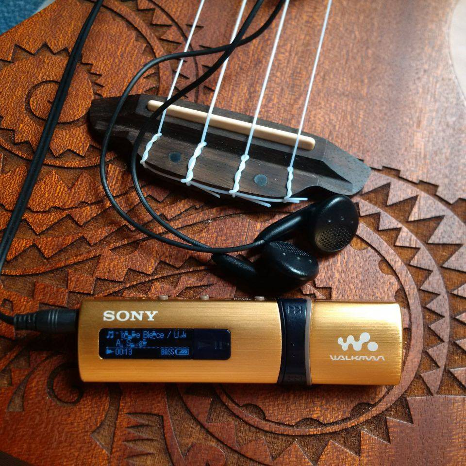 Máy nghe nhạc Sony Walkman NWZ-B183F chính hãng