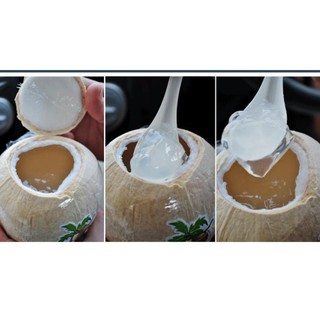Bột cốt dừa Minaco 50g