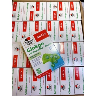 Combo Ginkgo Doppelherz Đức