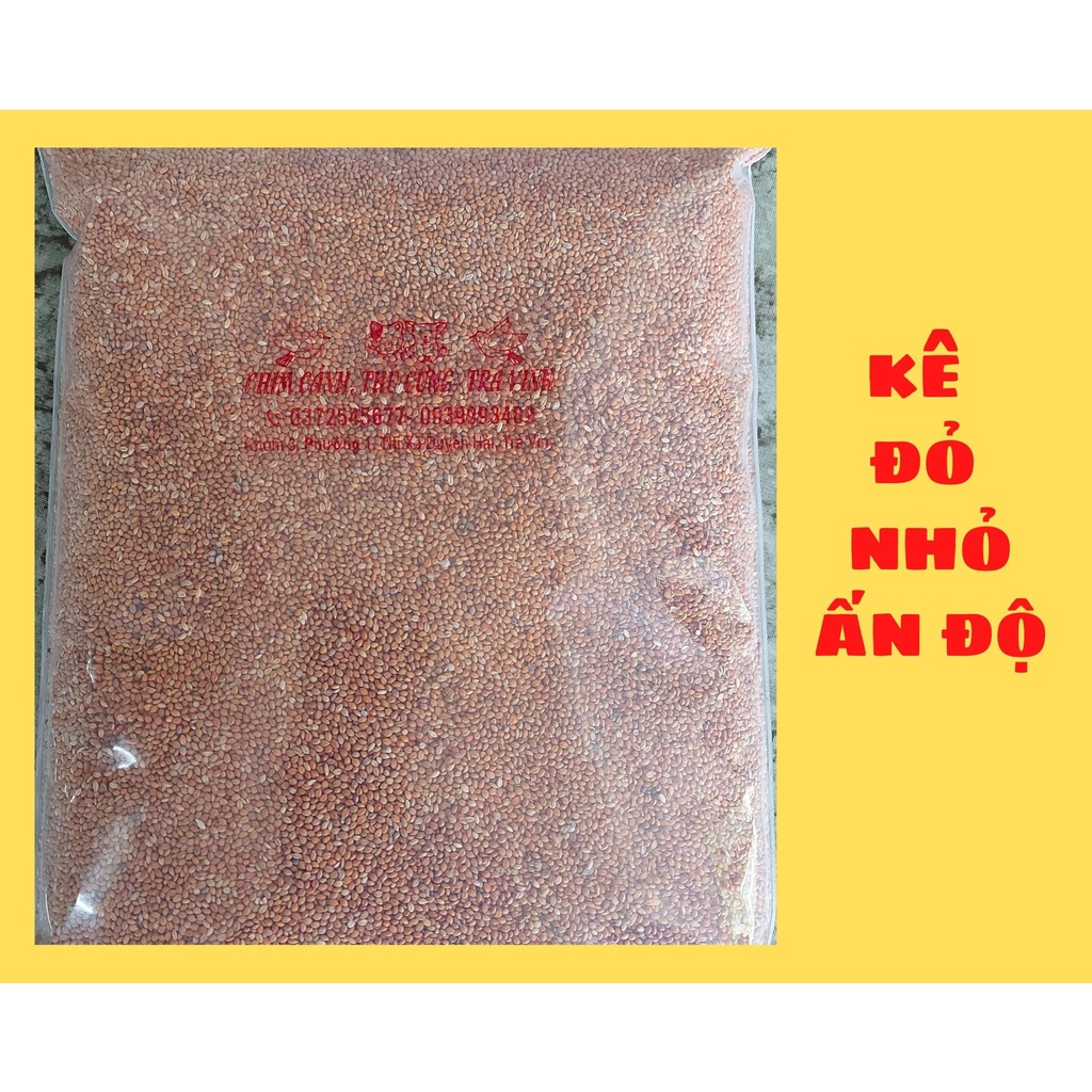 Kê đỏ hạt nhỏ Ấn Độ, Món ăn ưa thích của các dòng finhes. Bao nguyên 25 kg