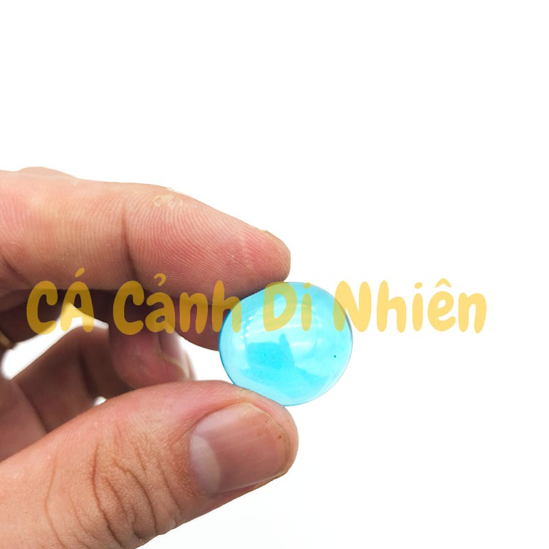 Sỏi thủy tinh màu Xanh Biển, Trắng, Đen 350G trang trí cho hồ cá cảnh