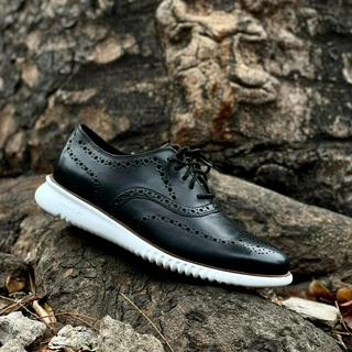 Co.le haan men's 2.zerogrand wing ox oxford