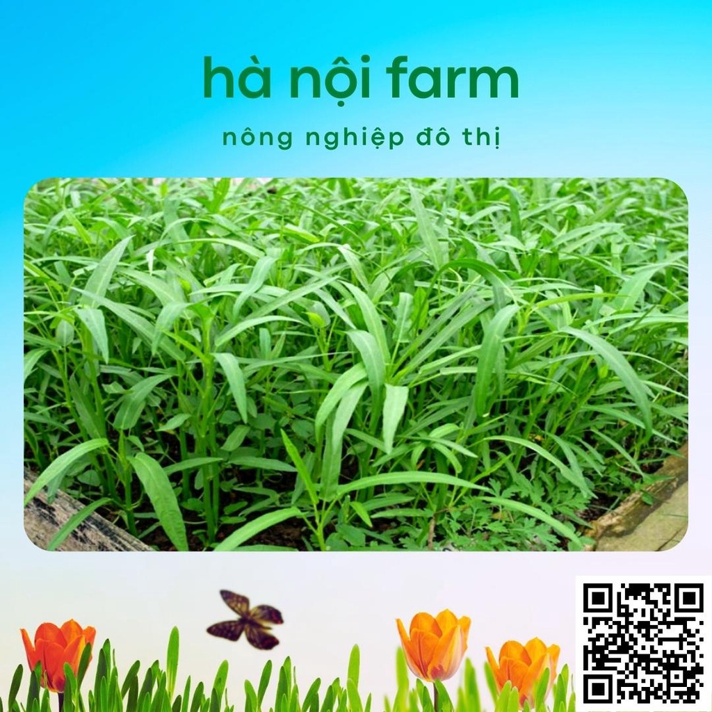 Phân bón kali đỏ 500g