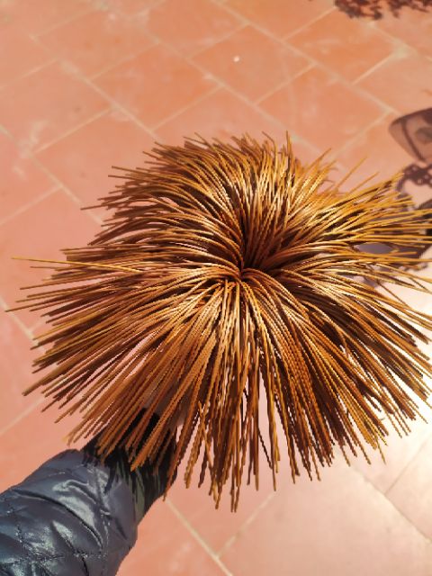 Nan sửa lồng khuyên 60 nan thừa 1 lồng