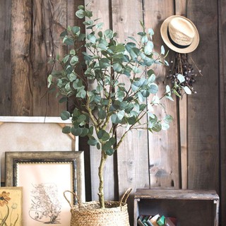 Cây bạch đàn trang trí cao 130cm - LC3050