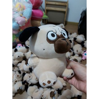chó mặt quạu.nhăn.size 20cm