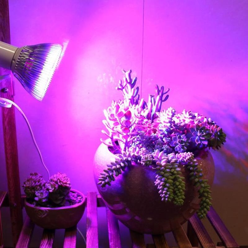 Đèn LED Hỗ Trợ Cây Tăng Trưởng Toàn Diện
